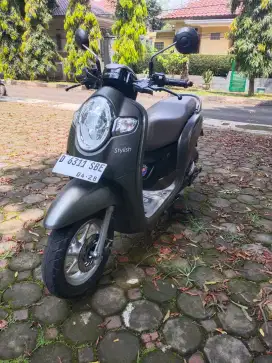 Scoopy  Stylish 2018
