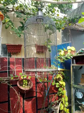 Jual kandang besi