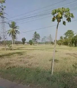 Dijual Tanah 10330 M² Depan Polsek Tegineneng