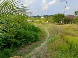 Tanah yang Kucinta