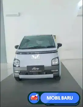 [Mobil Baru] Promo Dp minim Wuling Air Ev lite 300km
