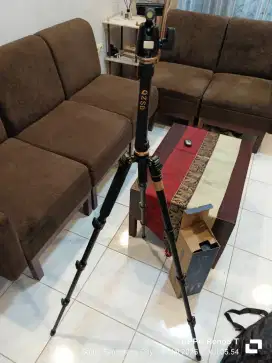 Tripod Profesional Beike QZSD 555