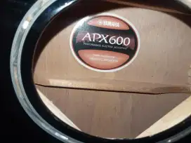 GITAR YAMAHA APX 600