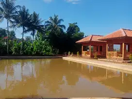 JUAL CEPAT VILLA KOLAM IKAN SHM AIR NORMAL TINGGAL NERUSIN