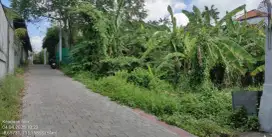 TANAH 1 ARE TEGAL CUPEK UMALAS AREA VILLA