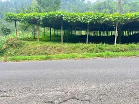Tanah Dekat Mata Air Pegunungan - 1500m2