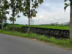 Tanah Sawah Tepi Jl. Utama Kerjo Karanganyar | Dekat SMA Negeri