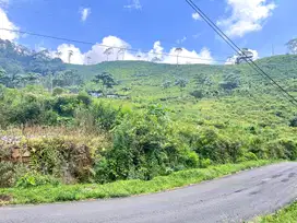 Tanah Strategis Bangun Villa, Homestay, Cafe Kemuning Karanganyar