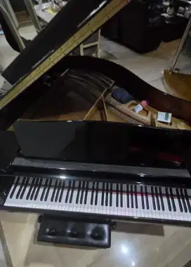 Baby Grand Piano Kawai GM10