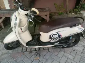 Scoopy 2014 plat S tuban
