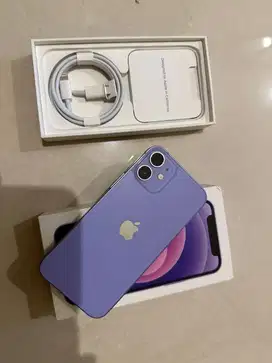 iPhone 12 mini ibox