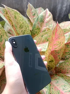 Iphone x 256gb inter fulset mulus