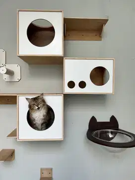 cat playground cat towe rumah kucing jakrta bekasi