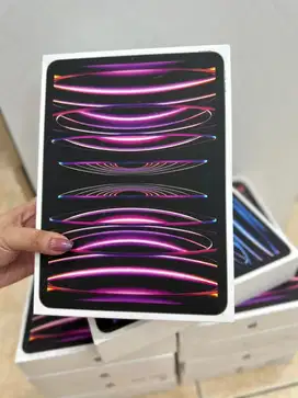 IPAD PRO M4 11 inci  256GB RESMI