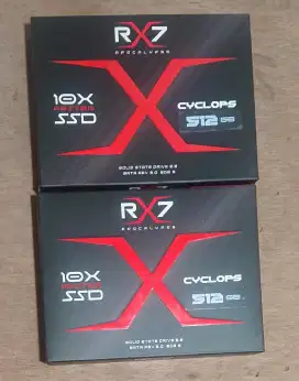 SSD SATA3 SATA 3 RX7 512GB Garansi 3 Tahun