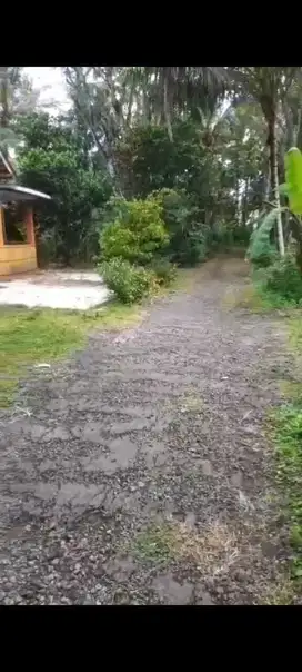 JUAL TANAH DI KREMBANGAN PANJATAN KULONPROGO