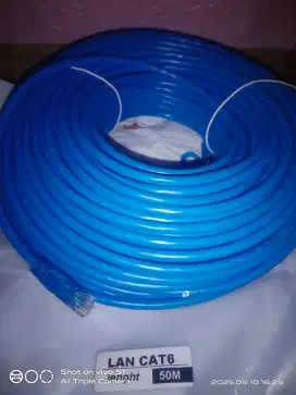 Kabel LAN UTP Cat6 50 Meter