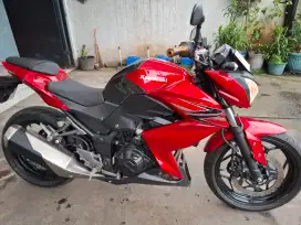Kawasaki Z 250 2013