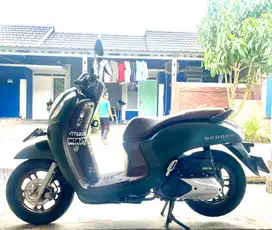 Scoopy Prestige 2023