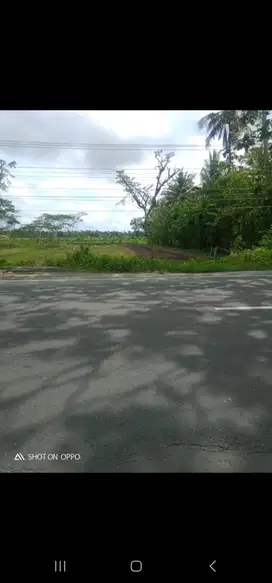 JUAL TANAH DI NAGUNG WATES KULONPROGO