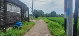 DIJUAL TANAH EXCLUSIVE KAWASAN PERMUKIMAN LOKASI DENPASAR BARAT