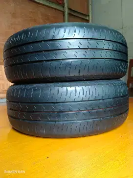 Ban 195 55 R16 Bridgestone Ecopia