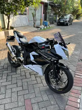 Ninja 250 RR Mono