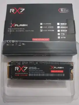 SSD NVME 256 GB [ WINDOWS 10 / 11 ] Free Pasang