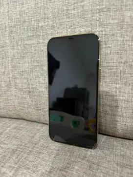 IPHONE 12 PRO MAX 256 GB