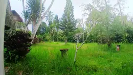VILLA HITUNG TANAH 36 ARE VIEW JUNGLE DAN GUNUNG AGUNG DI TEGALLALANG