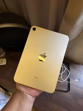 ipad mini 6 64gb wifi only