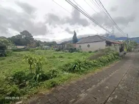 Tanah di Bedugul Bali hanya 50 meter dari jalan Kebun Raya