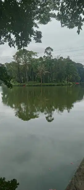 Cari lowongan kerja