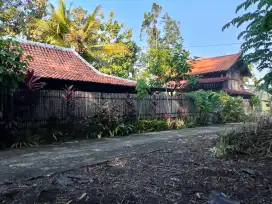 Dijual rumah Limasan bonus Joglo 2 kamar tidur