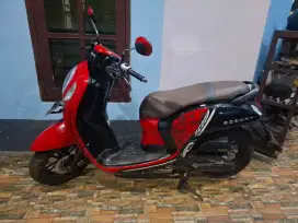 HONDA SCOOPY SPORTY RED 2021