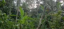 DI JUAL TANAH DARAT LUAS TANAH 3500 METER DI LEUWILLIANG
