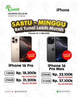 iPhone 16 pro max