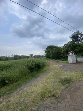 Jual tanah kejayan luas 25h satu pemilik