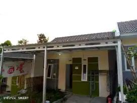 Kanopi baja ringan murah
