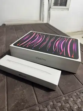 iPad pro 11 gen 4 128 GB (wifi)