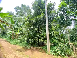 Dijual Murah Tanah Kebun 2811 m2 Bisa Akses Mobil di Bojong Purwakarta