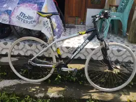 Sepeda Polygon vientage 700C