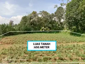 DI JUAL TANAH MURAH