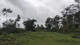 Tanah Malang Zona Permukiman Dekat Samsat Kota Kavling Perumahan