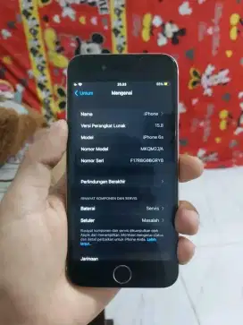 iPhone 6s 64 Wifi Only
