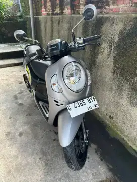 honda scoopy 2024