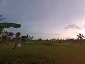 DI JUAL MURAH SAWAH (CIMAJA) KAB.SUKABUMI
