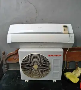 Ac sharp 1/2 pk thailand