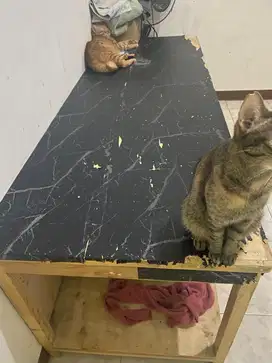Meja kayu jati belanda bekas warung