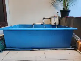 BAK KOLAM FIBER/KARANTINA KOI 120x80x40